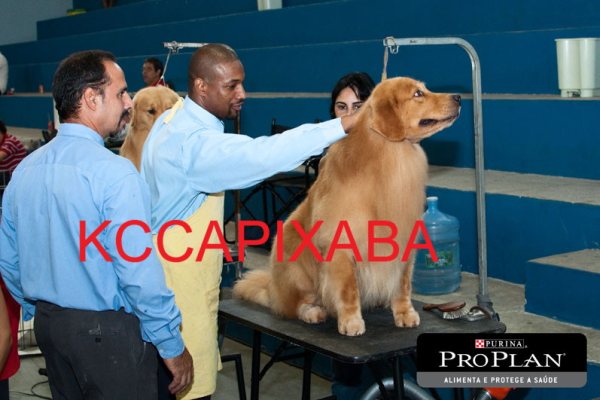 Clique sobre a foto para fechar